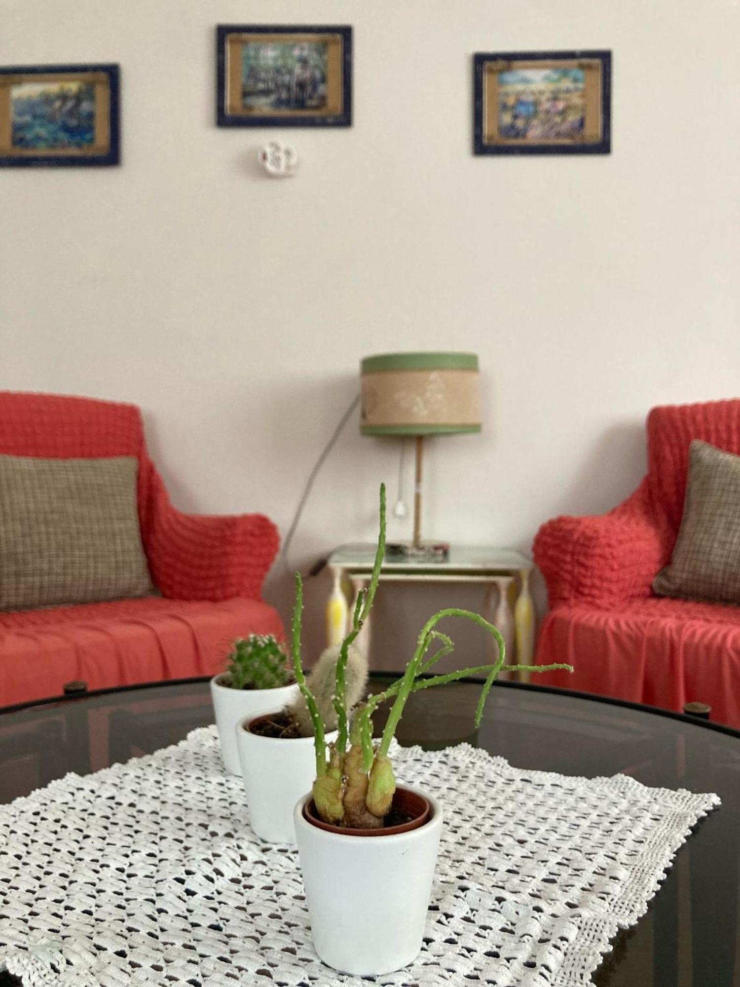 Apartment Large And Simple Family House In Center Antalya