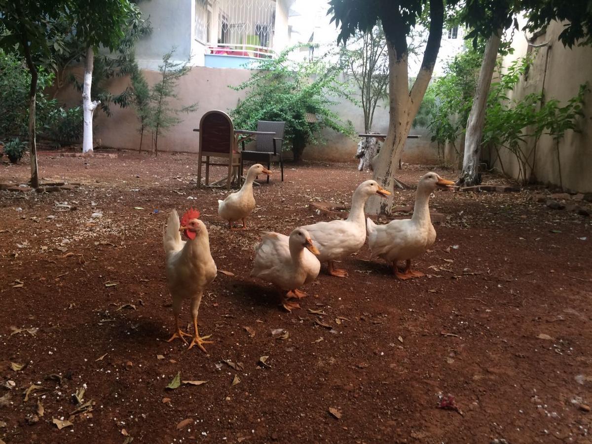 Hostel Uyar Palace *