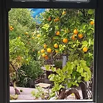 Gizlibahce