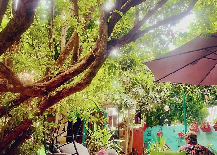 hostel vague