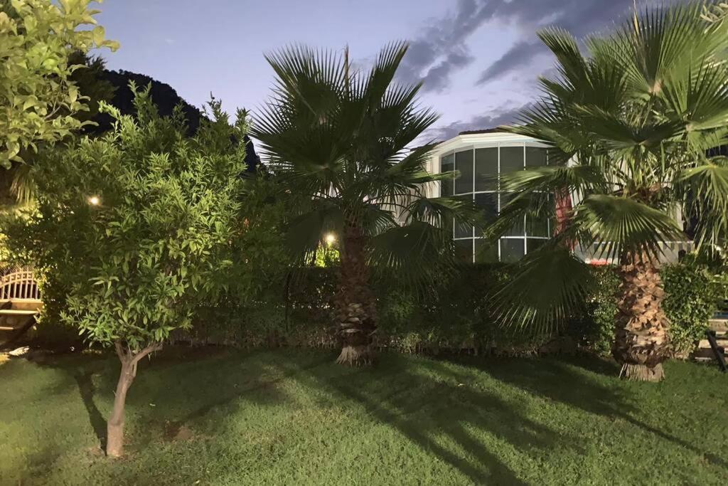 Luxury For Rent In Kemer, Goynuk