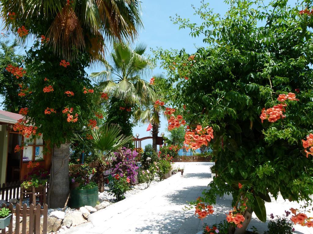 Atici Antalya