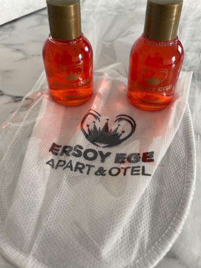 Ersoy Ege *
