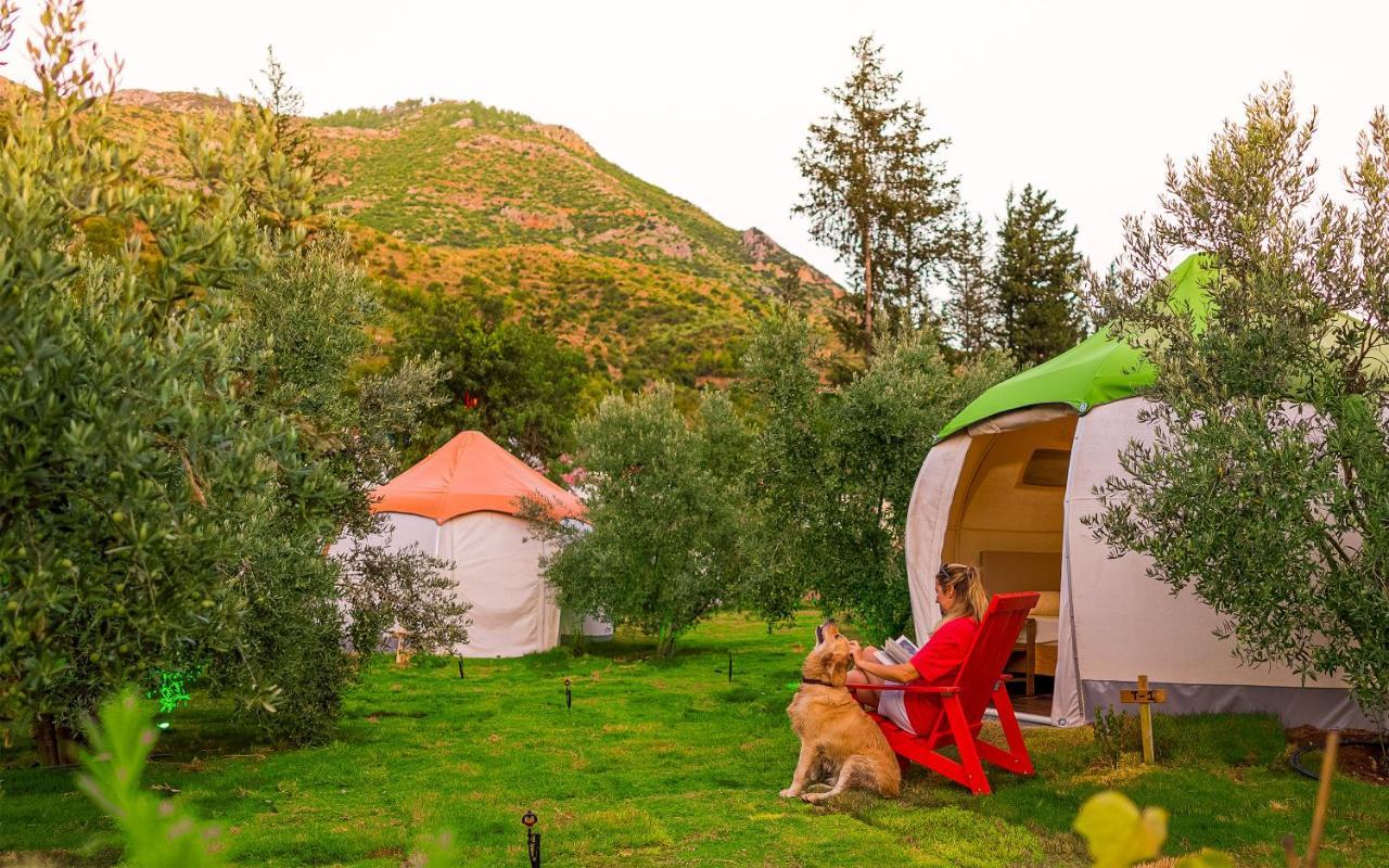 Chingene Glamping