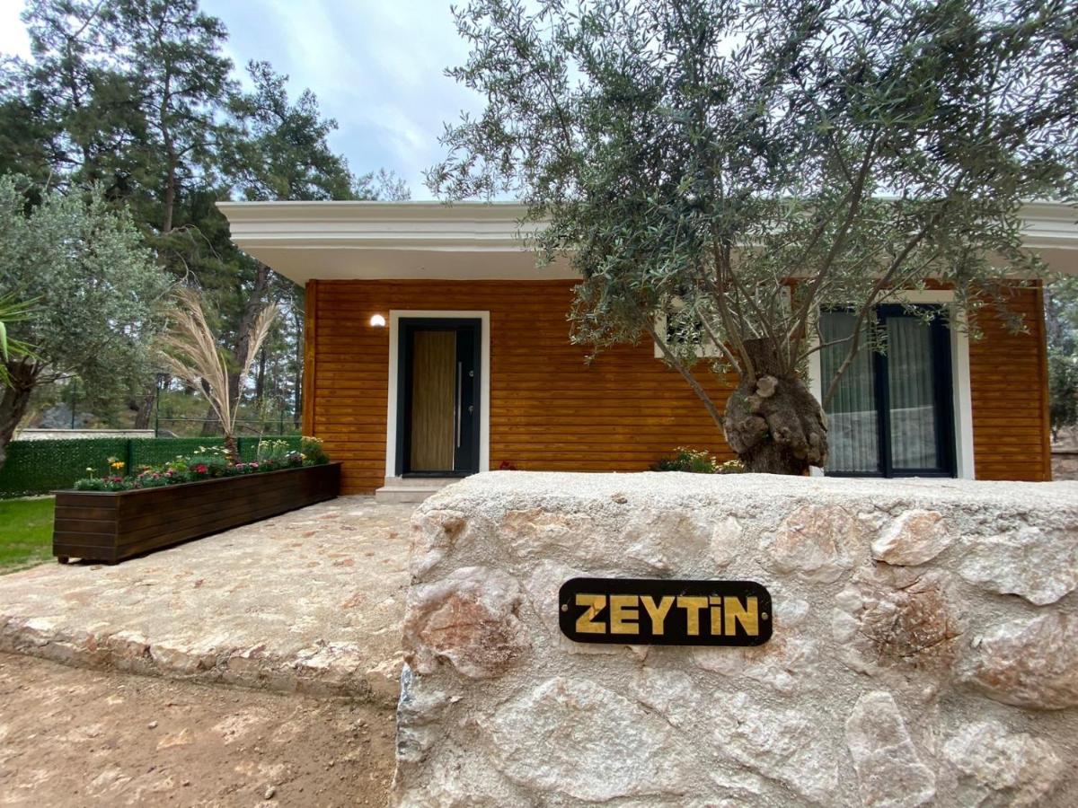 Silyan Villa