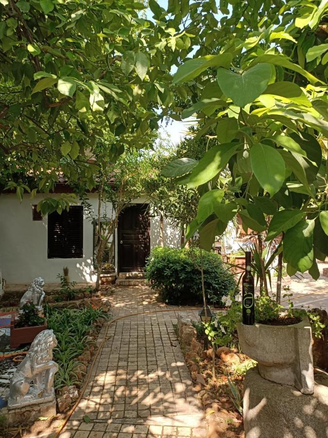 Hotel Hadrianus Pansion 3*