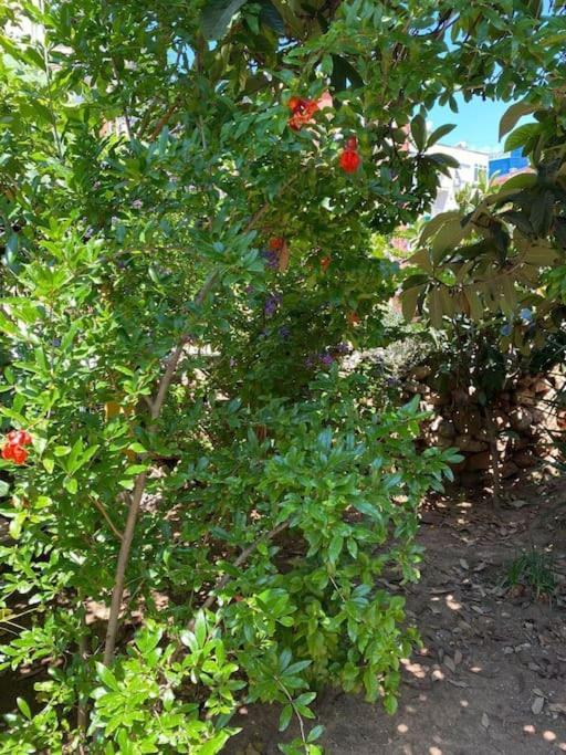 Apartment 3 Odali Ful Esyali Antalya'nin Kalbinde Ev *