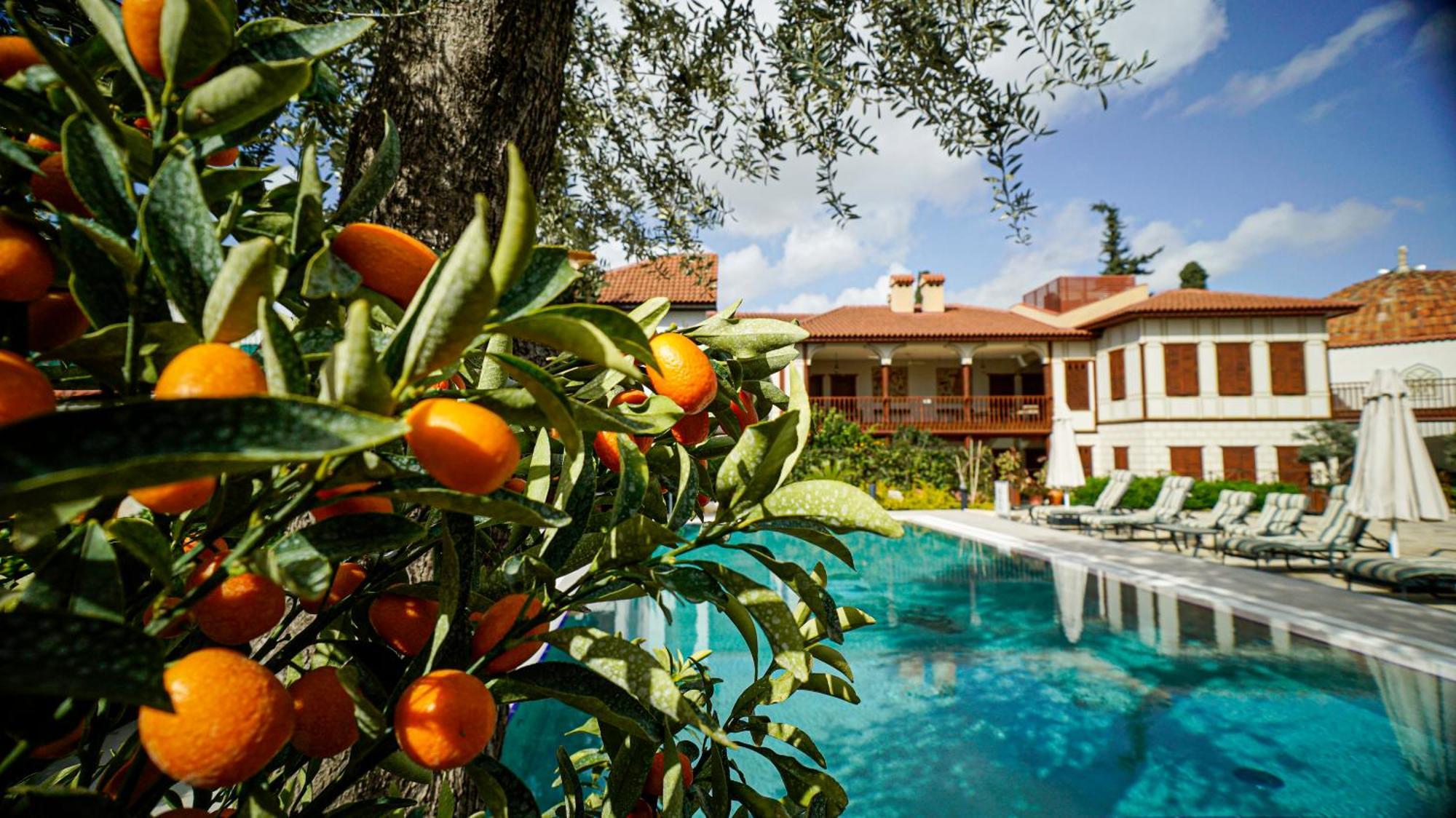 Ruinadalia - Adult Only Hotel 2*
