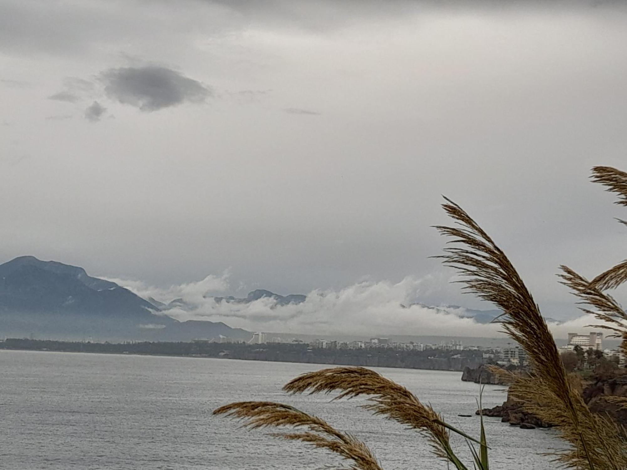 Close To The Sea In The Of