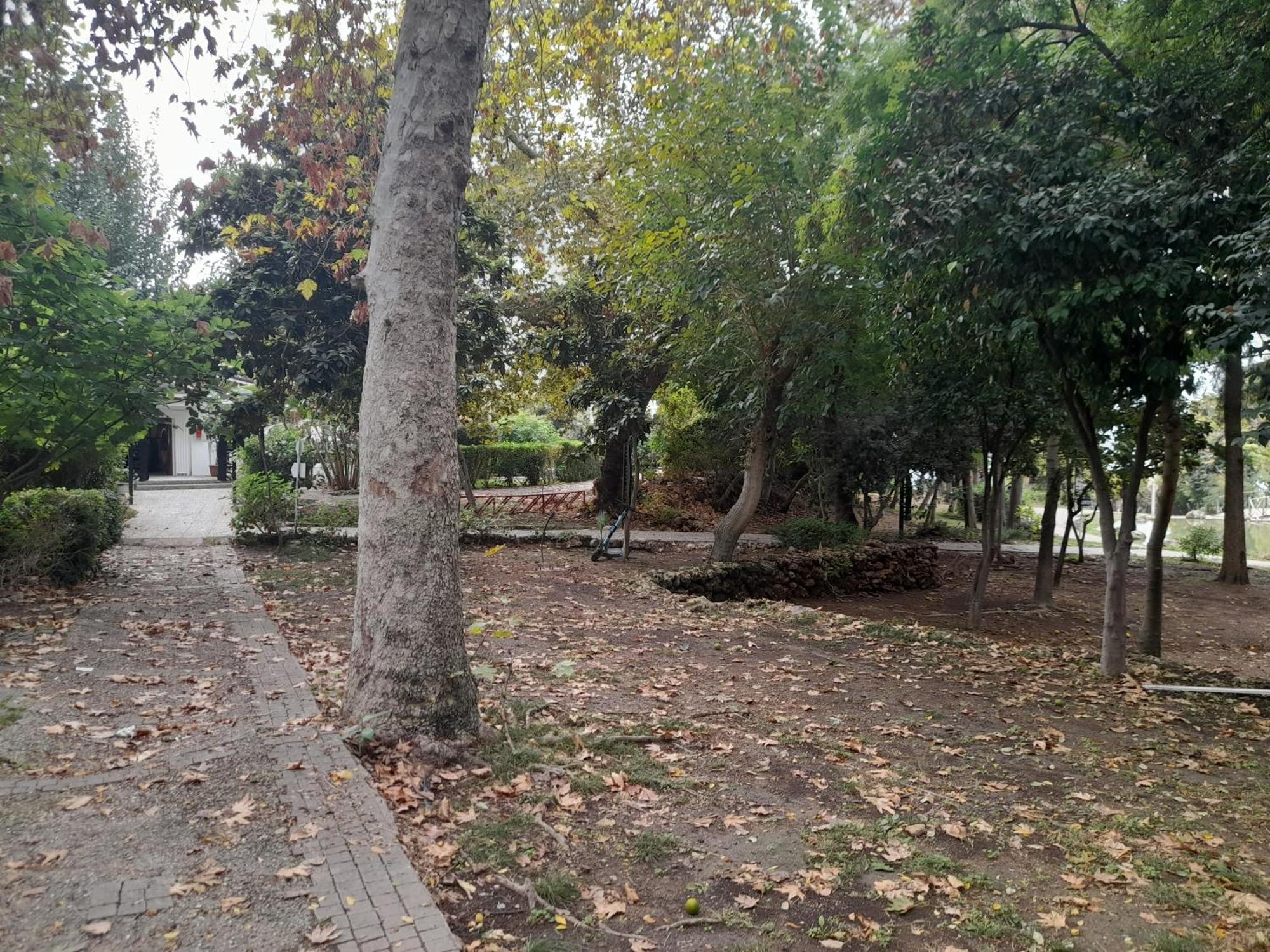 Apartment Close To The Sea In The Of