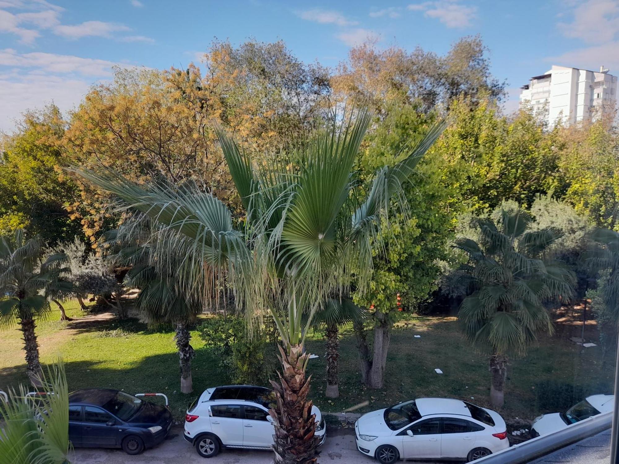 Close To The Sea In The Of Antalya