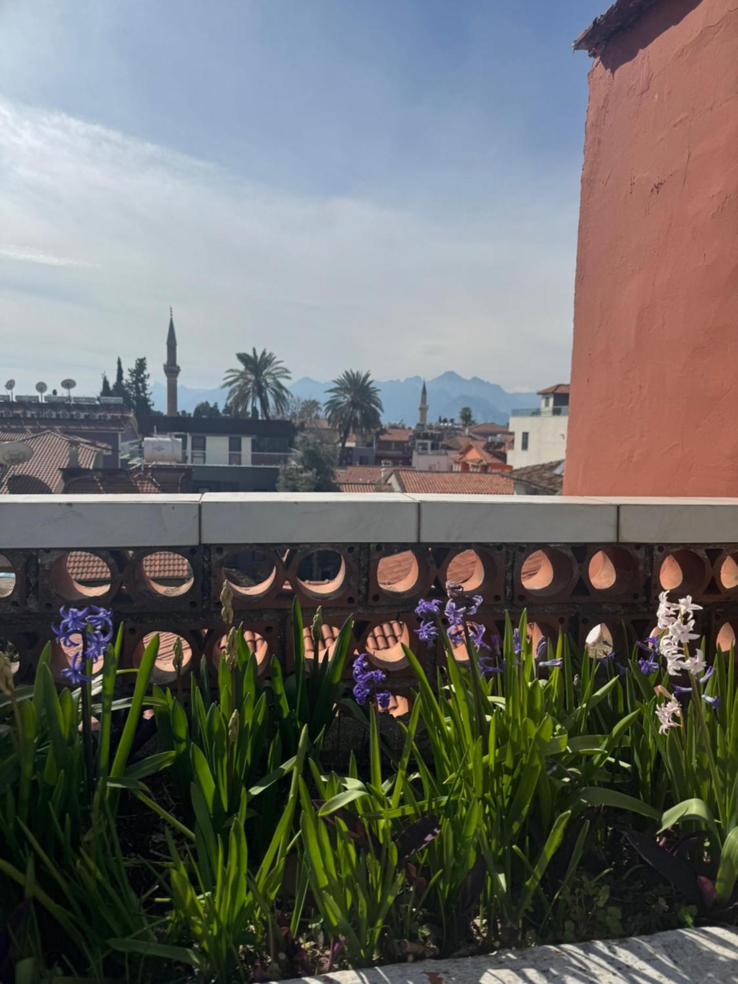 Otel Erkal 2*
