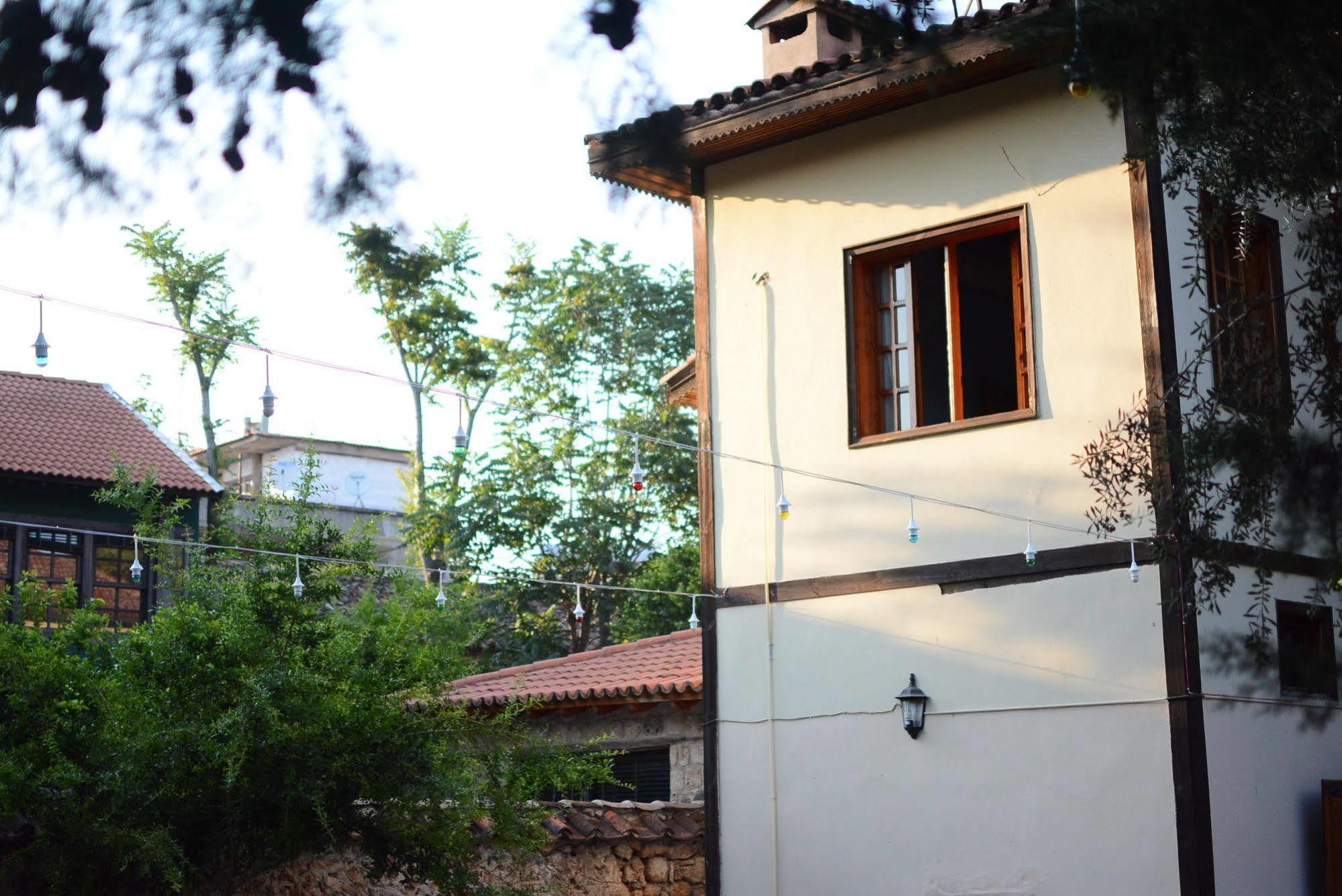 Hotel Wood House 3*