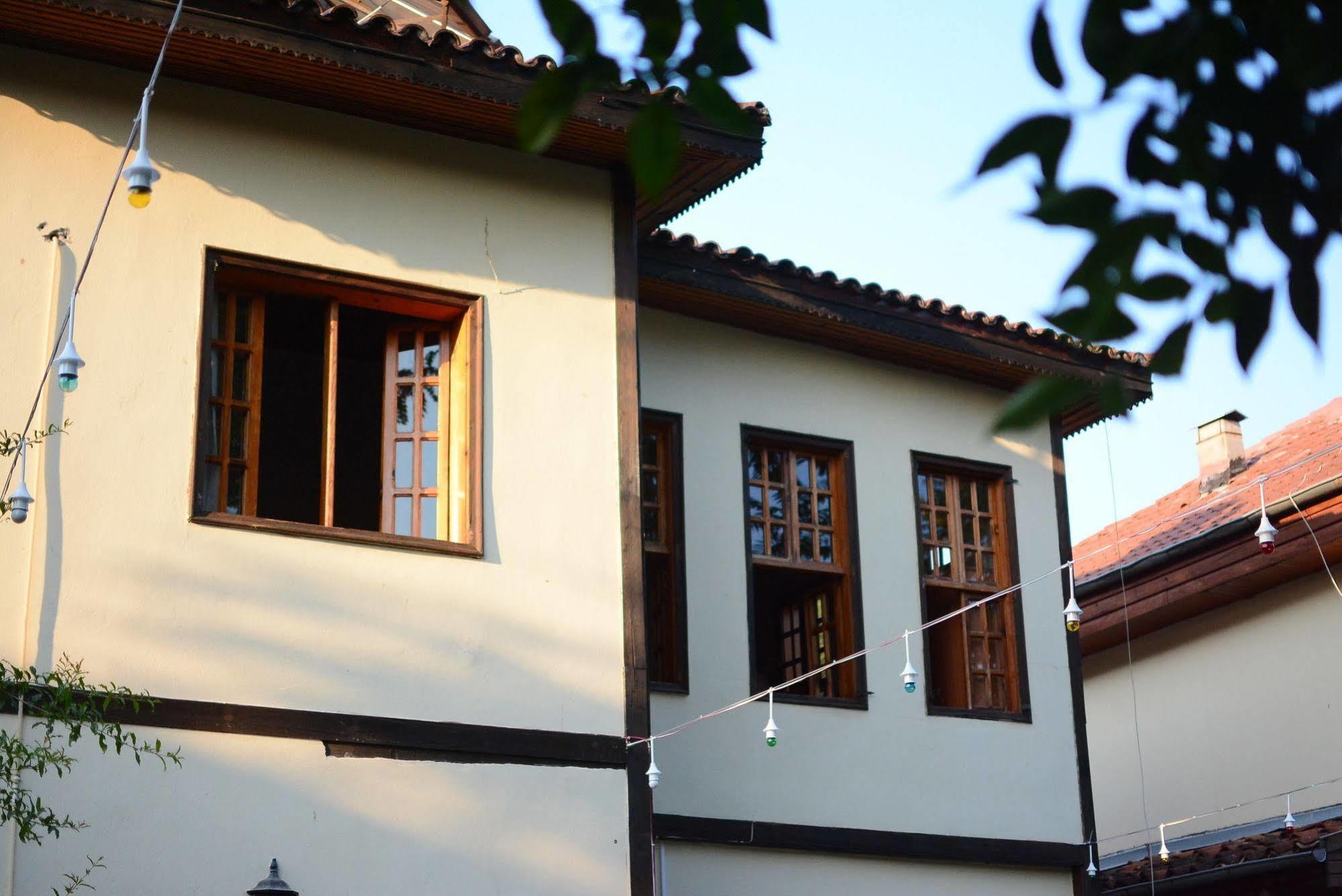 Wood House 3*