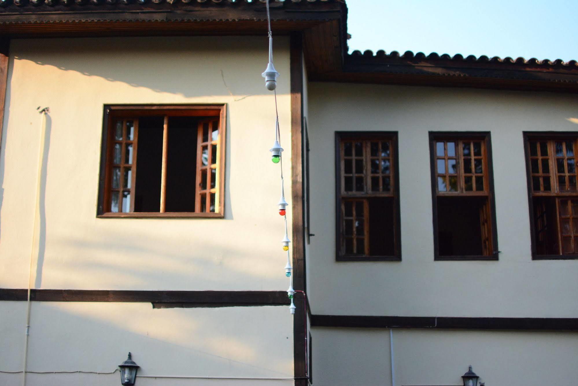 Wood House 3*