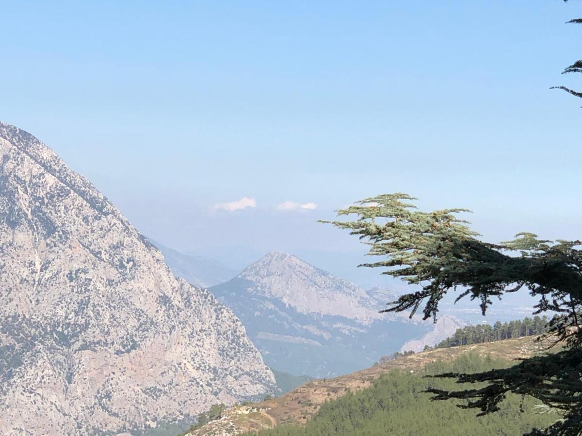 Yenivadi Antalya