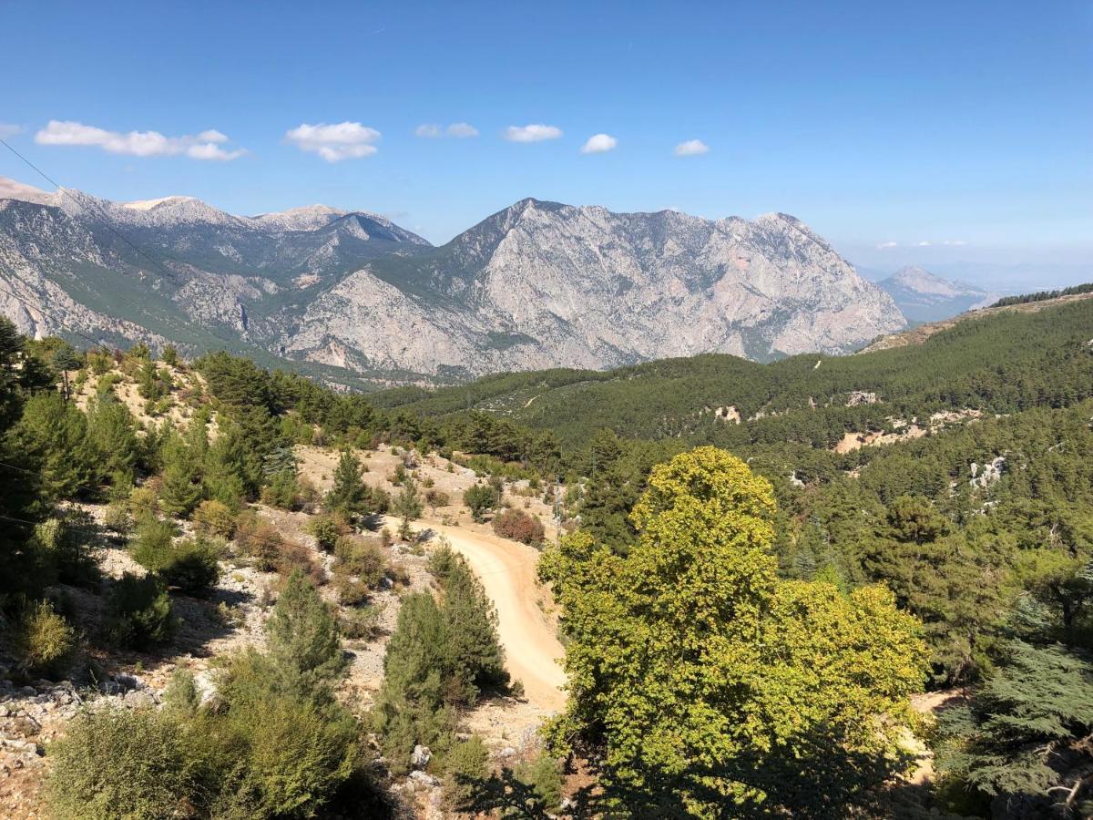 Chalet Yenivadi