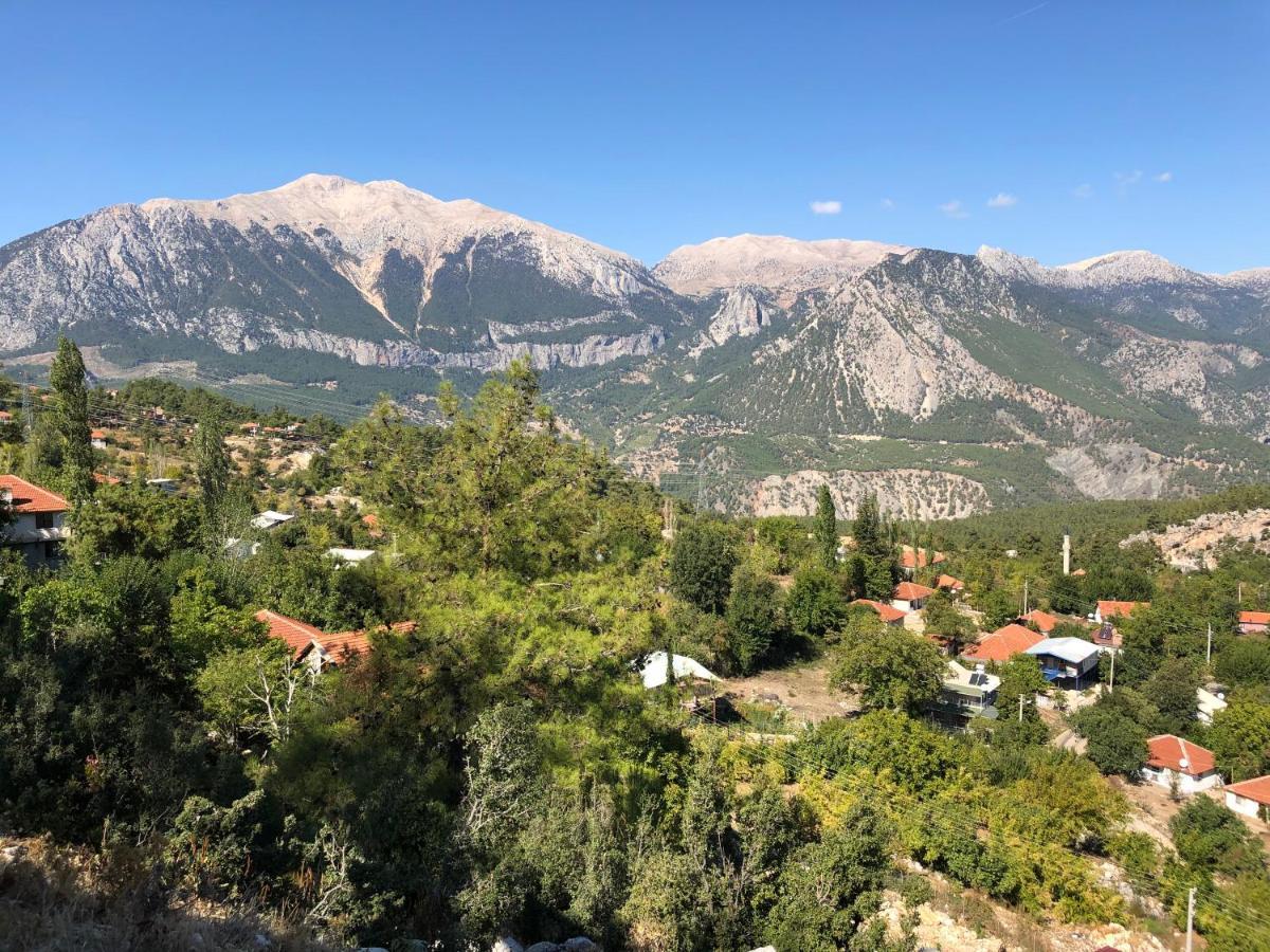 Yenivadi Chalet *